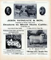 Advertisement 006, Winneshiek County 1905